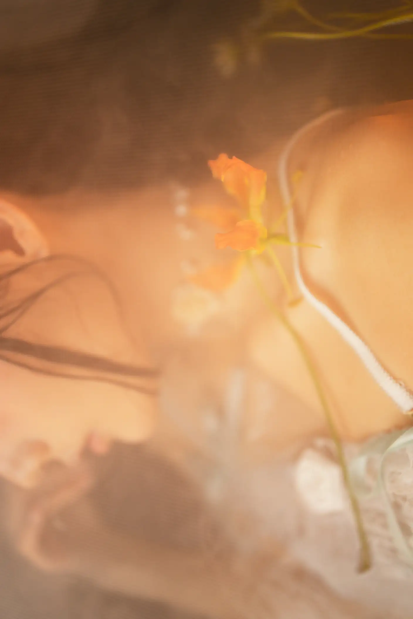 [艺图语] 2022.05.28 Vol.1014 – 梦莲 兔子Zzz不吃胡萝卜#[31P]-9