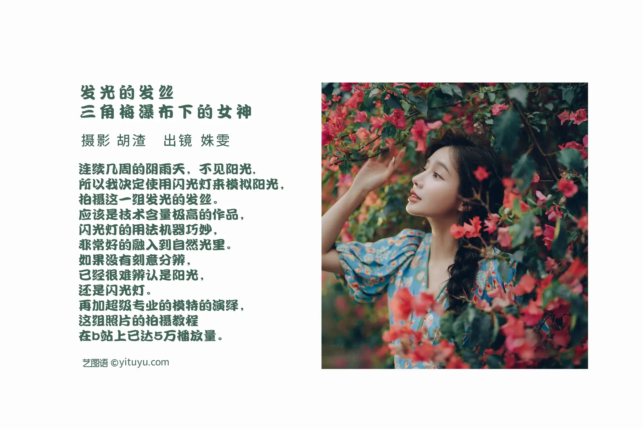 [艺图语] 2022.06.25 Vol.1282 – 发光的发丝，三角梅瀑布下的女神 姝雯同学#[55P]-2