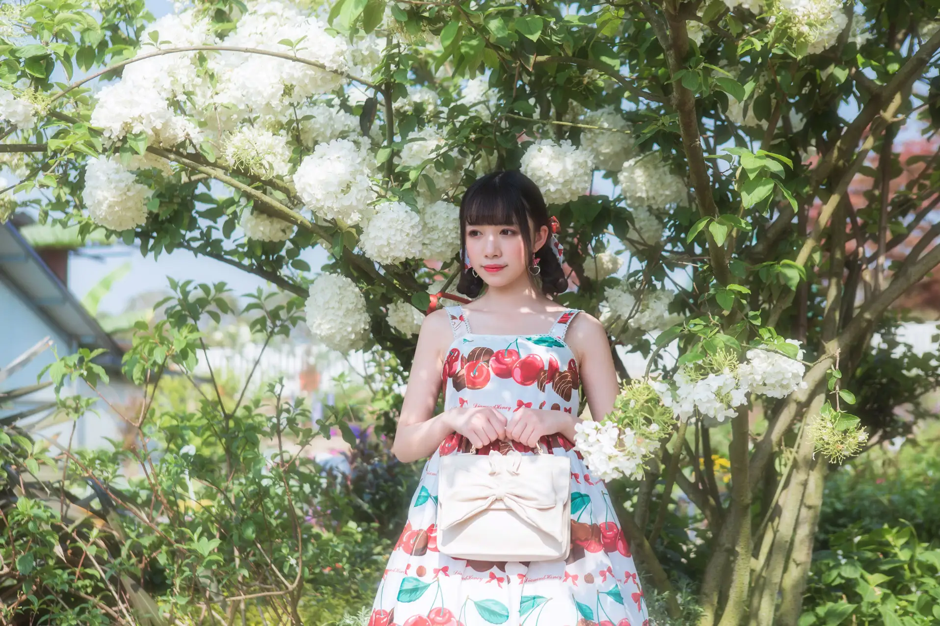 [艺图语] 2022.05.20 Vol.0938 – 绣球花 小风#[43P]-3