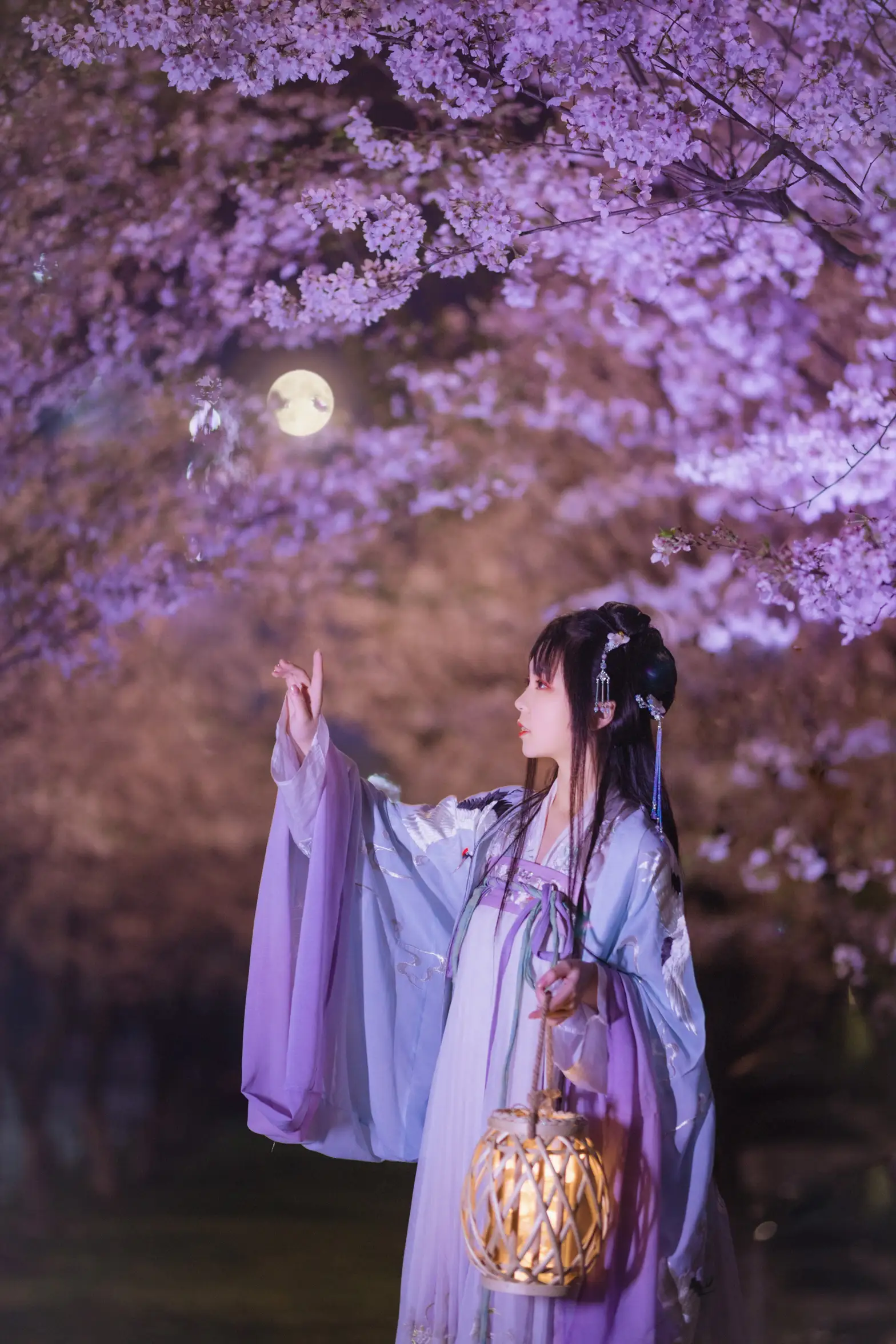 [艺图语] 2022.08.10 Vol.1673 – 夜樱 阡墨红尘#[20P]-9