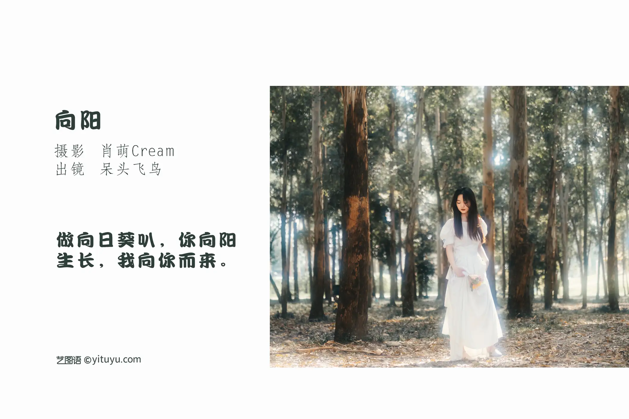 [艺图语] 2022.07.26 Vol.1544 – 向阳 呆头飞鸟_#[25P]-2