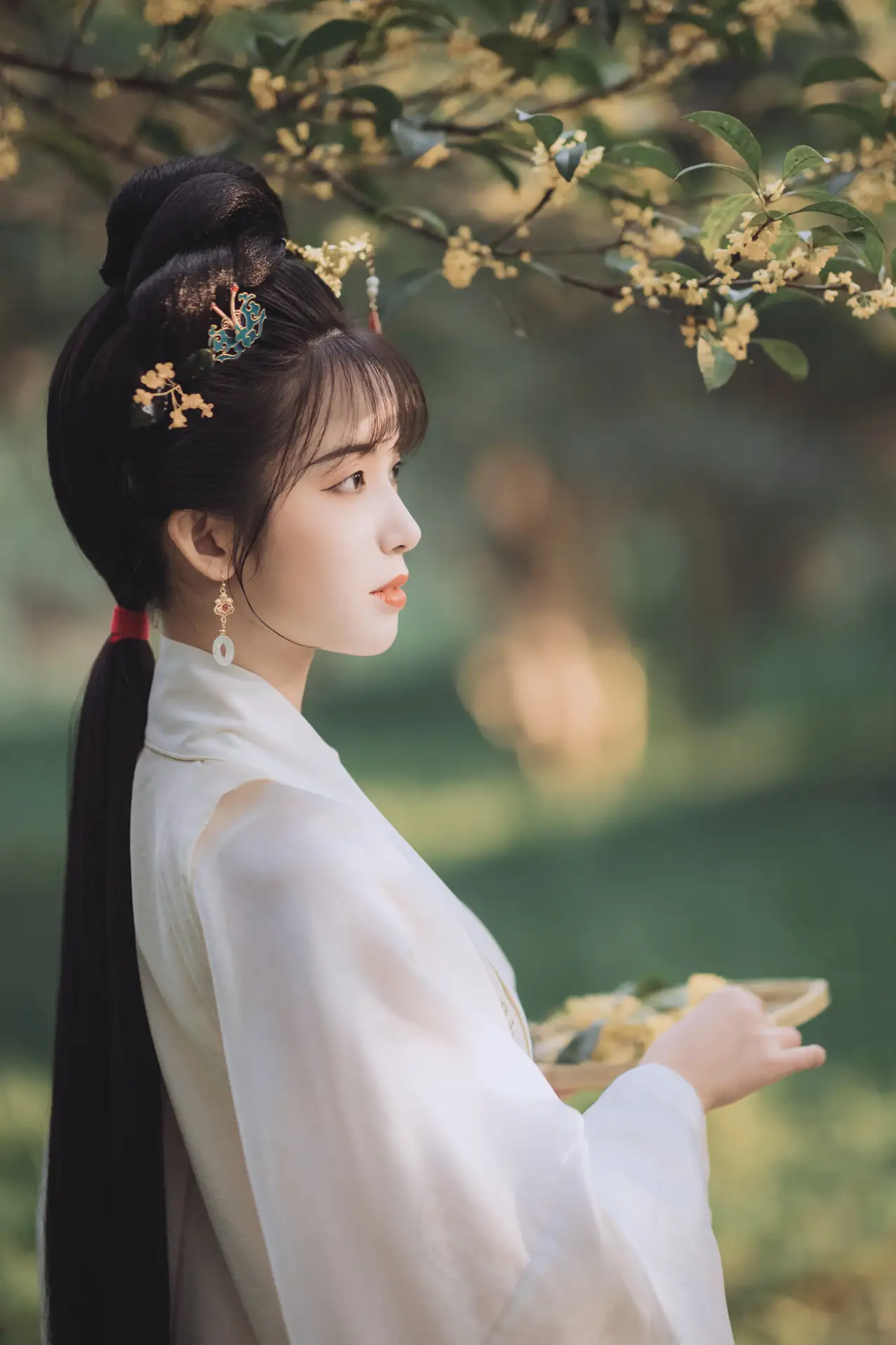 [艺图语] 2021.11.22 Vol.463 – 桂花酿 一只阿梦崽#[36P]-3