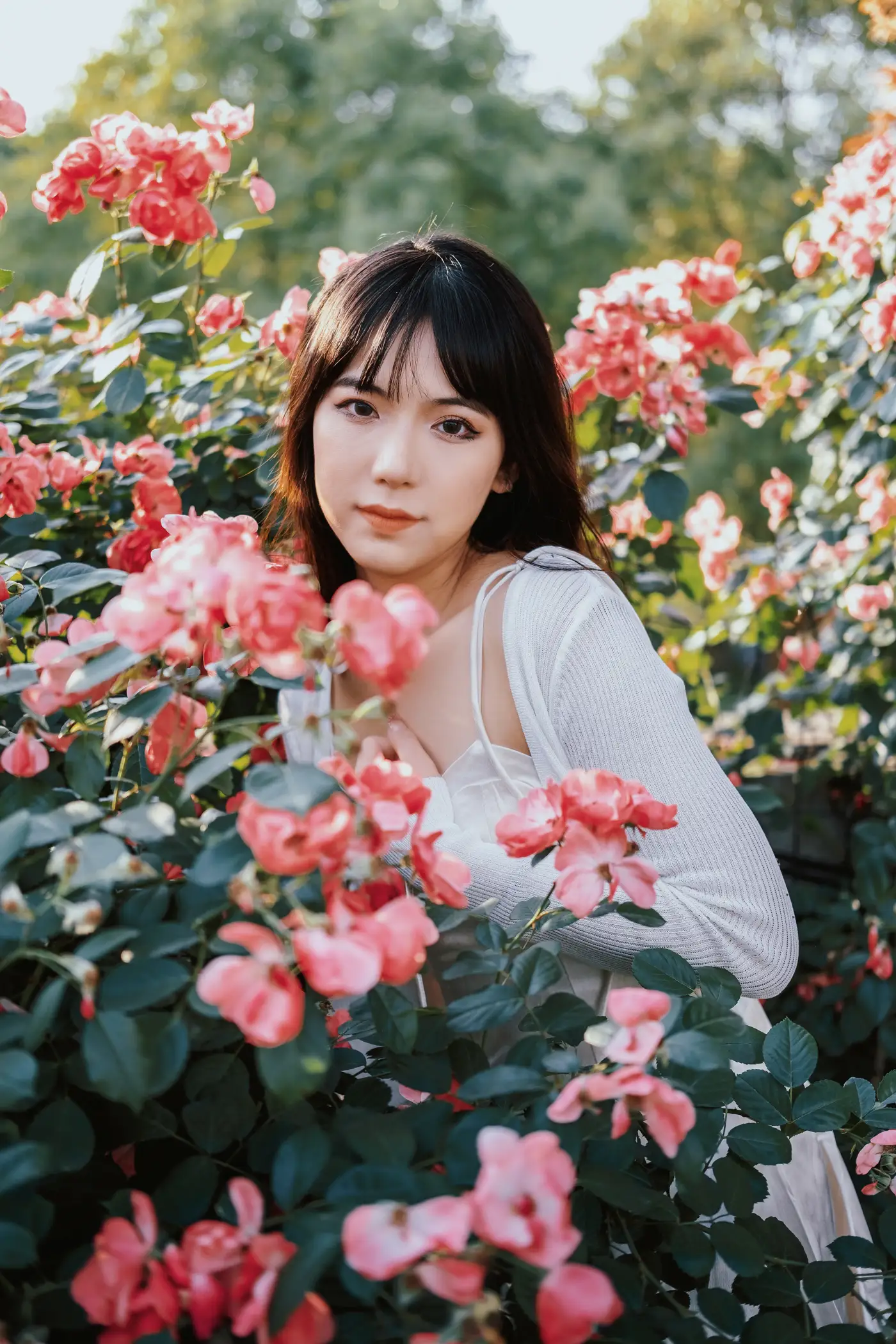 [艺图语] 2022.06.10 Vol.1137 – 蔷薇花下 依依#[25P]-7