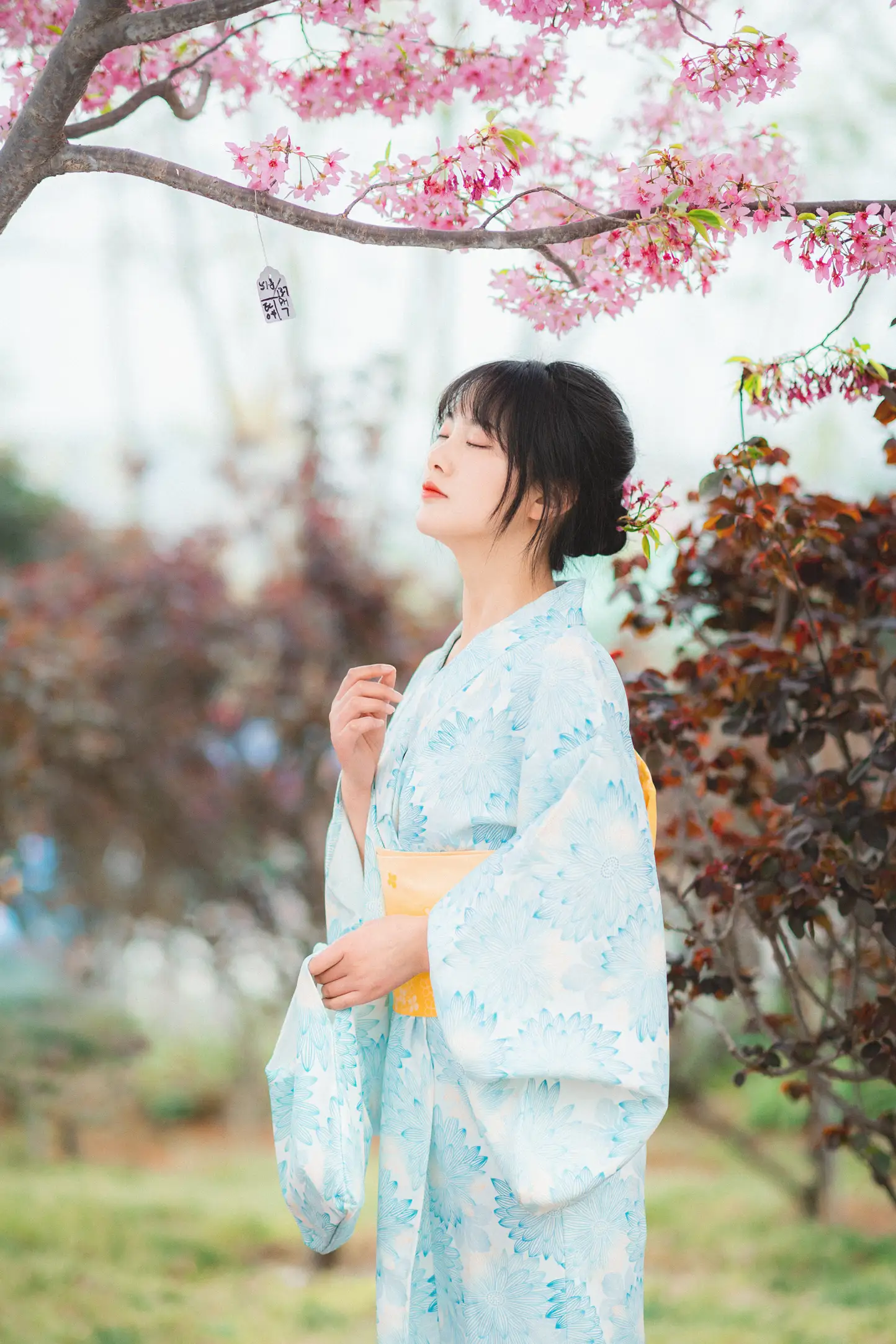 [艺图语] 2022.11.19 Vol.2478 – 樱花树下 爱拍照的梅梅#[23P]-6