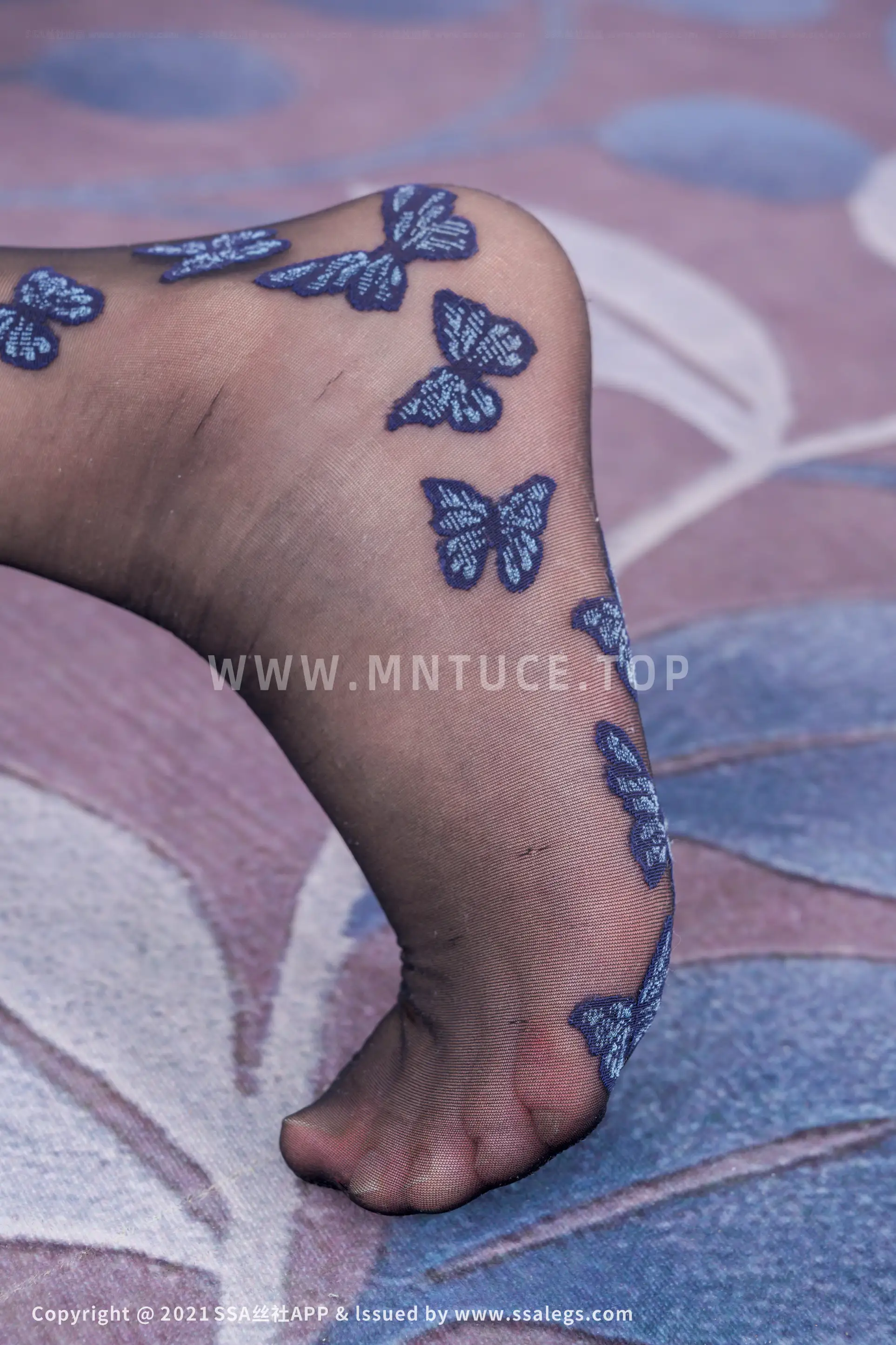 [Mzsock] NO.773 Polish butterfly pattern stockings with plain legs (Part 2) silk club#[112P]-8