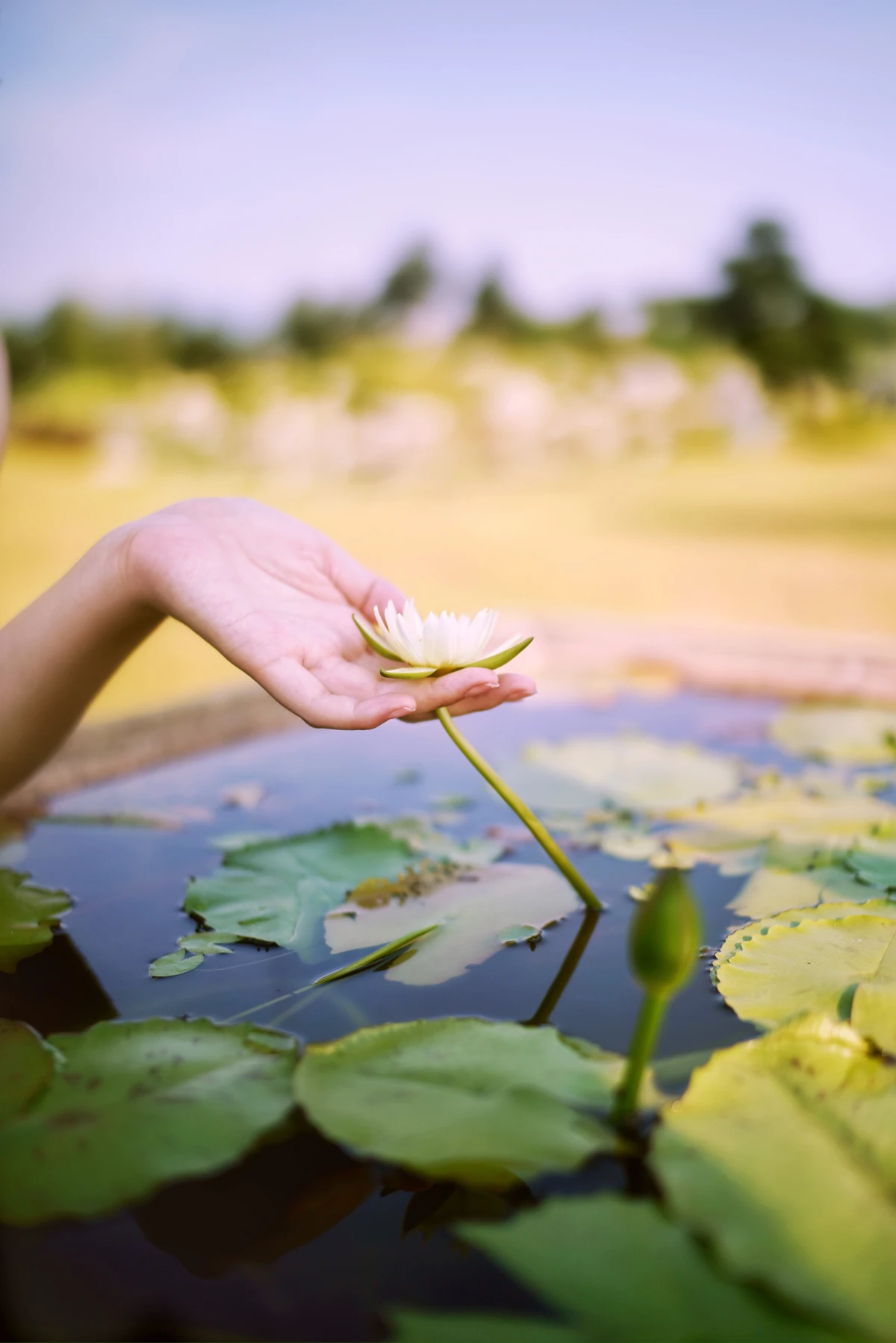 [YITUYU] 2023.01.04 Vol.2833 – The joy of lotus pond rings#[34P]-9