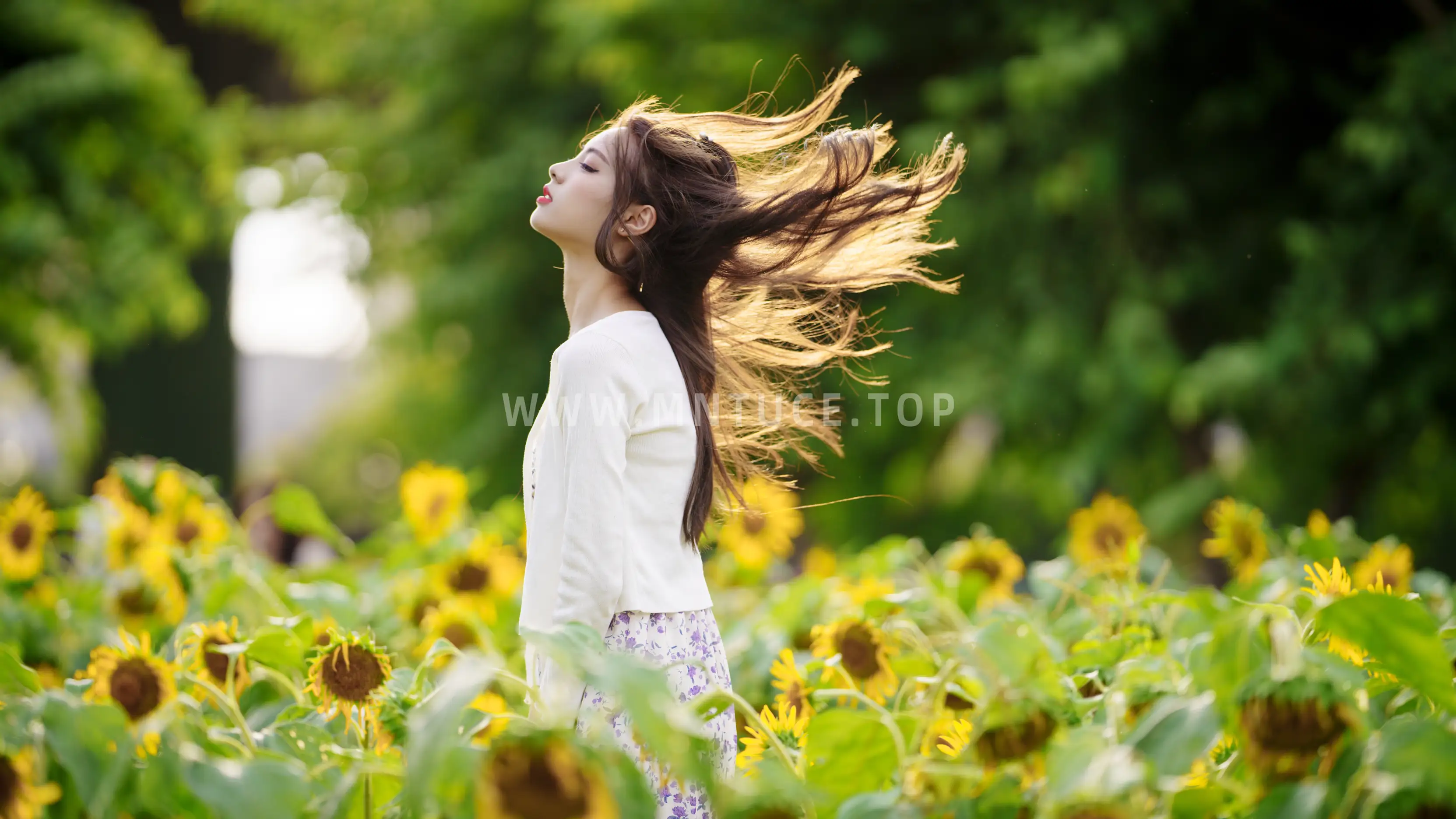 [YITUYU] 2021.12.30 Vol.554 – Sea of Sunflowers Teng Jing#[31P]-9