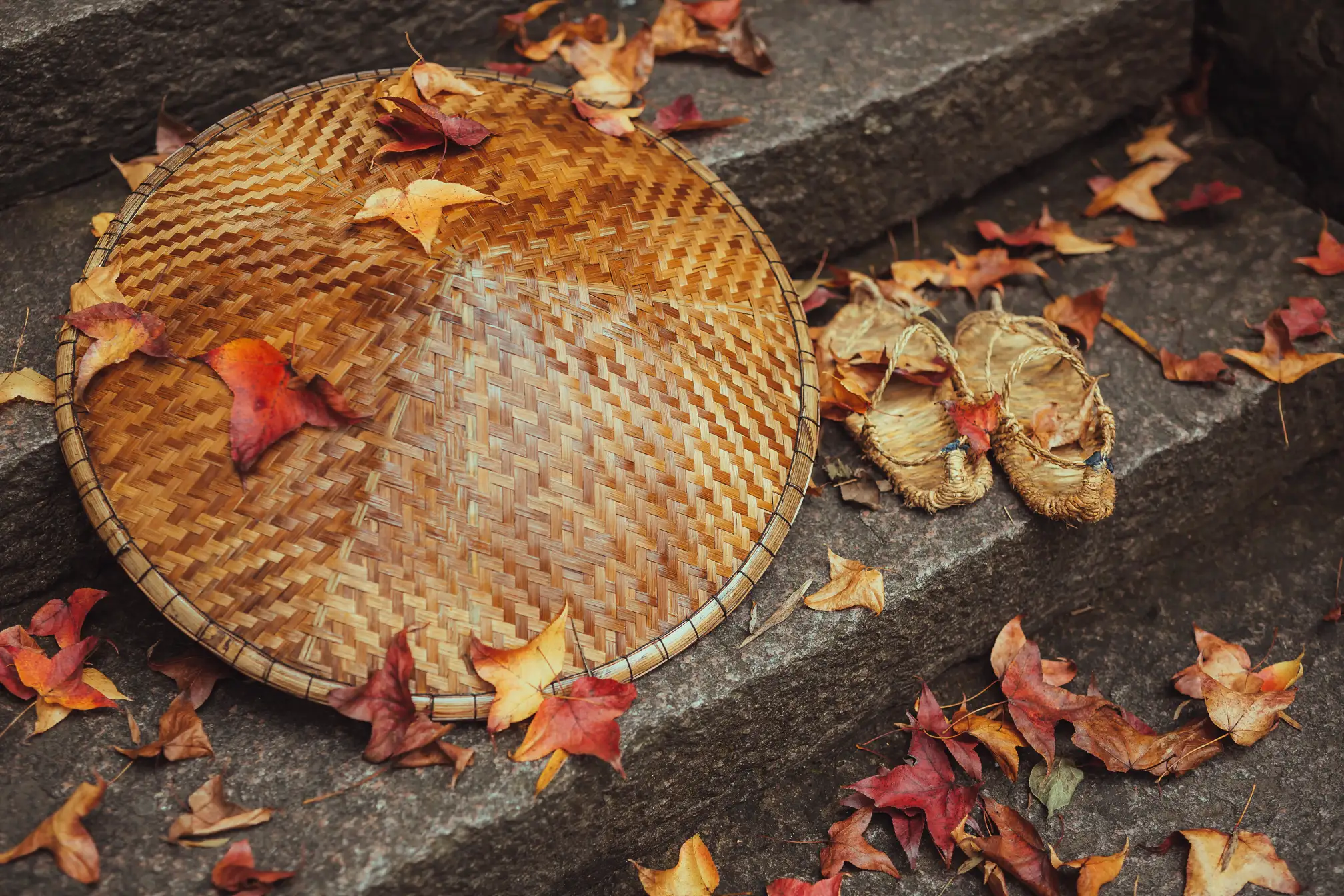 [YITUYU] 2021.09.29 Vol.327 – Tiantai Walking Meditation Five colored heather leaves#[32P]-5